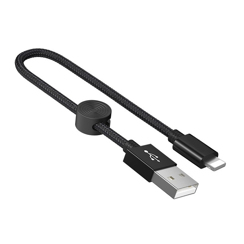 Câble Lightning 25 cm pour iPhone & iPad