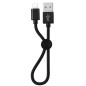 Câble Lightning 25 cm pour iPhone & iPad