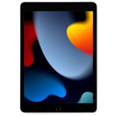 Ecran LCD iPad 7 /8 / 9ème gen 10.2"