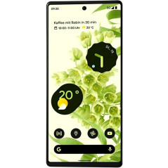 Ecran Oled Pixel 6 Original Google