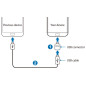 Adaptateur OTG USB-C vers USB (Mâle / Femelle). Officiel Samsung