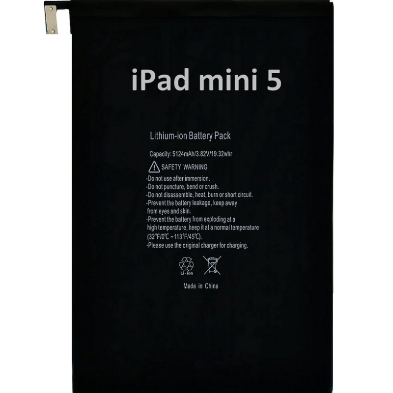 iPad mini 5 : Batterie de rechange