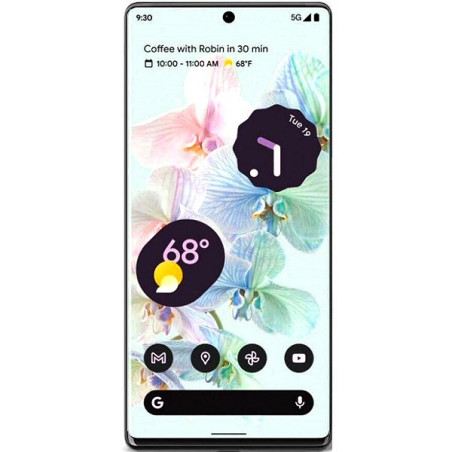 Ecran Oled Google Pixel 6 Pro