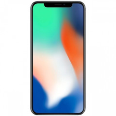 Ecran Starter iPhone X