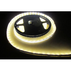 Ruban 300 LED blanc chaud 5 mètres (60 LED M) - 3528 SMD - IP65