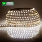 Ruban 300 LED blanc chaud 5 mètres (60 LED/m) - 3528 SMD - IP44