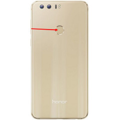 Huawei Honor 8 (FRD-L09) : Nappe Home Or et Lecteur digital