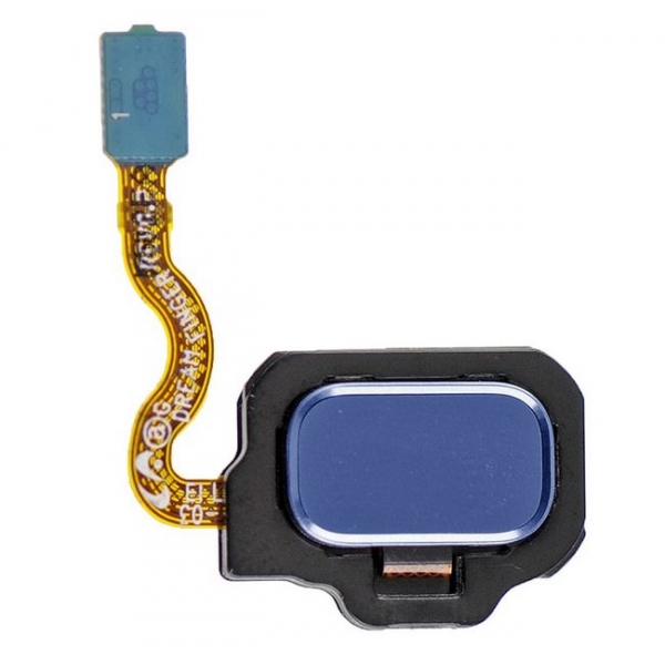 GH96-10834D. Galaxy S8 et S8+ : Lecteur empreintes digitales Bleu