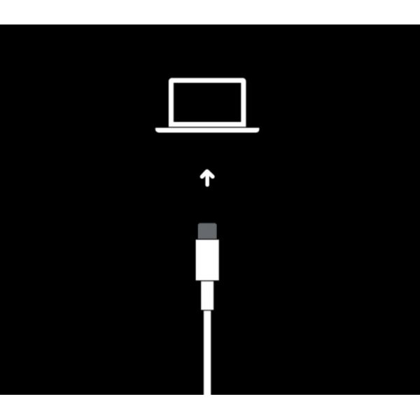 Câble de restauration DFU iPhone iPad
